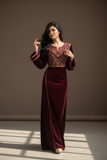 Silk Velvet  Simple Elegant Embroidered Dress