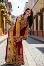 Load image into Gallery viewer, Velvet embellished with intricate Qasab (metallic) embroidery.
