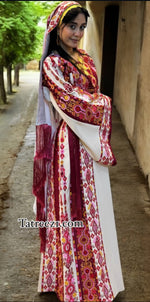 Load image into Gallery viewer, Beige Shade Traditional Embroidered Palestinian Fellahi Thobe
