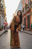 Jennah & Naar Velvet embellished with intricate Qasab (metallic) embroidery.