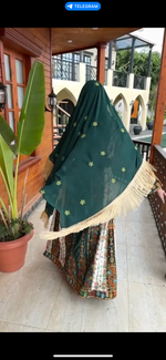 Load image into Gallery viewer, Malacca Velvet Material Green Stone Embroidery Thoub With Matching Headpiece
